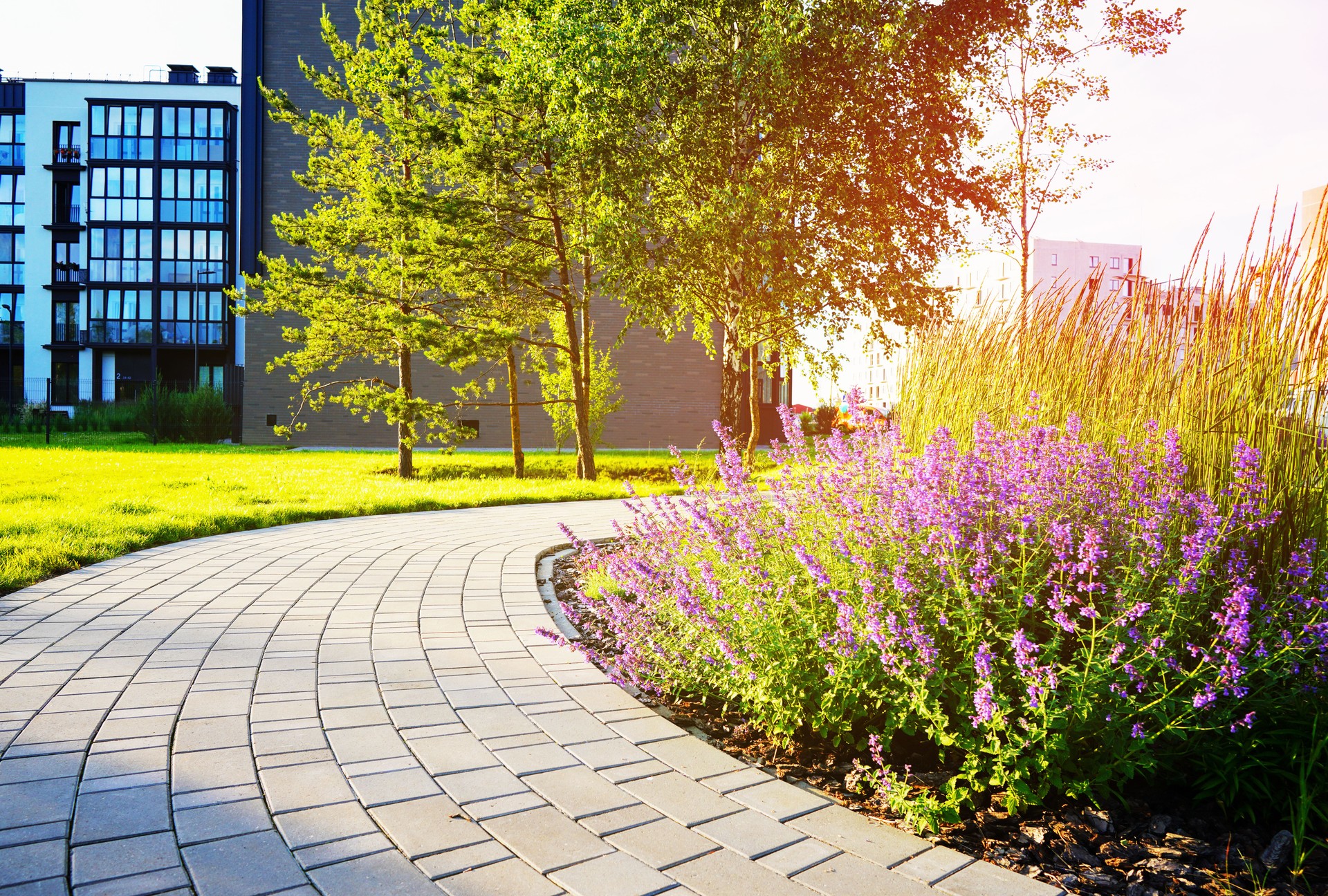 Landscape Architecture for Public Spaces. Garden Pathway.